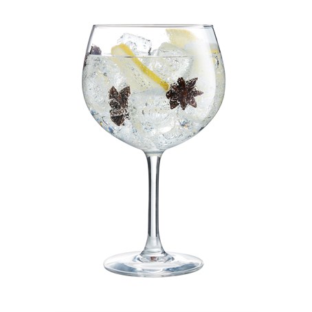 Vina Gin & Cocktail Glass 70cl - 24 1/2 oz